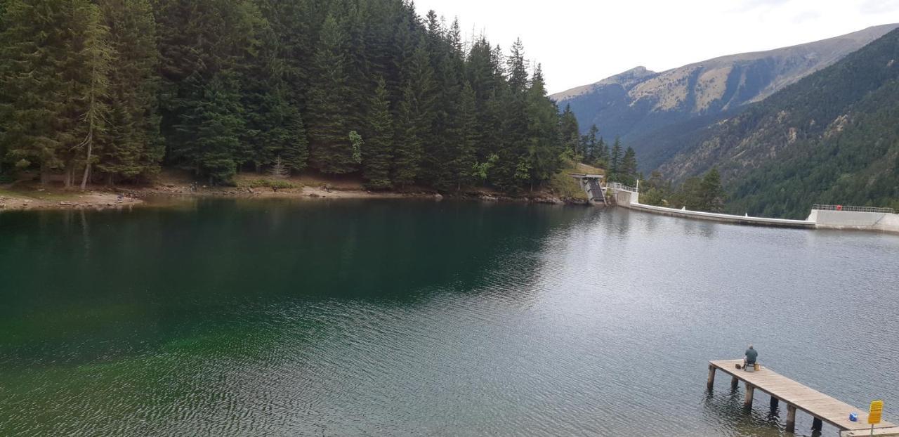 Saint-Martin-Vésubie Grand Chalet Du Boreon B&B 외부 사진
