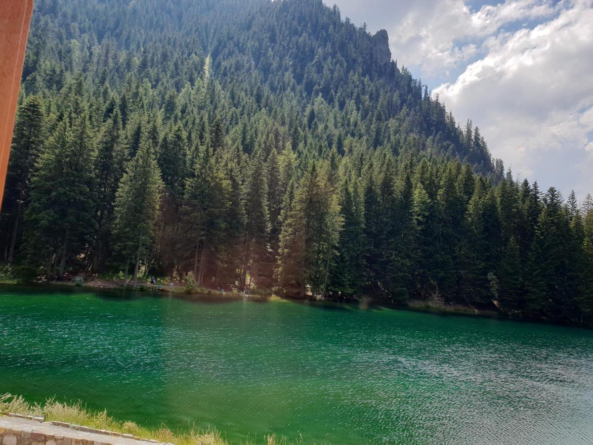 Saint-Martin-Vésubie Grand Chalet Du Boreon B&B 외부 사진